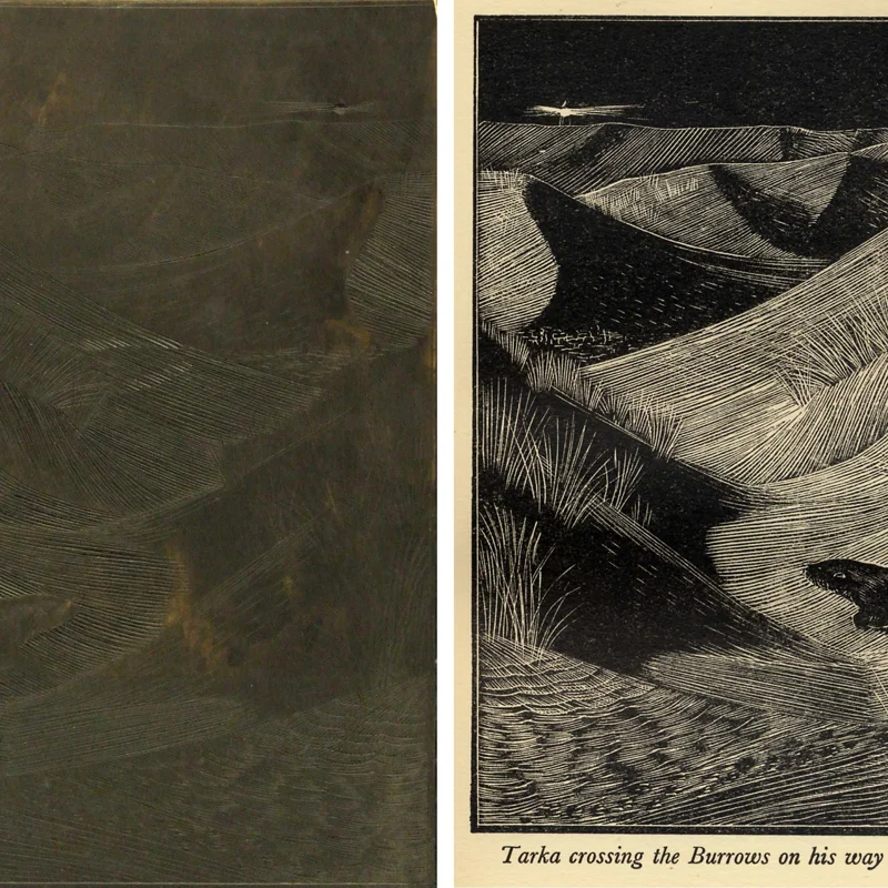 main-tunnicliffe tarka
