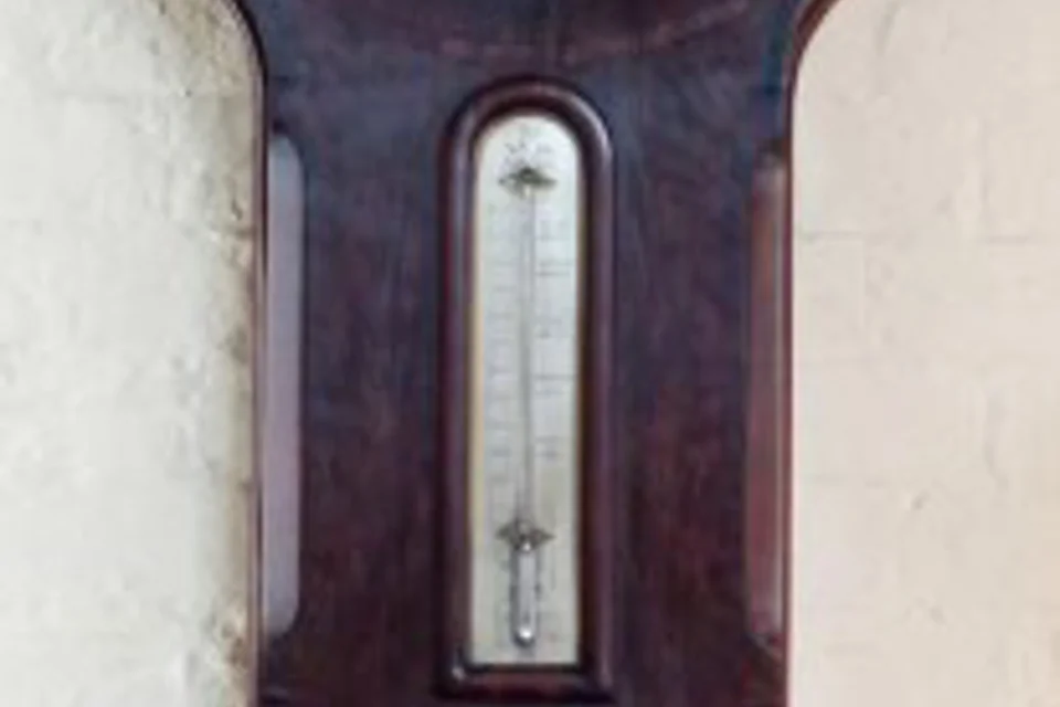 42657-0-medium.jpg